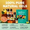 imageDaily Essential Oils 6Pack for Diffusers Aromatherapy Gift Set with Peppermint Tea Tree Eucalyptus Lavender Orange ampamp Lemongrass 6x5mLZesty Essential oil set