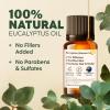 imageEucalyptus Essential Oil for Diffuser ampamp Lemon Essential Oil for Diffuser Set  100 Natural Aromatherapy Grade Essential Oils Set  2x034 fl oz  Kukka
