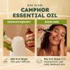 imageKUKKA Citronella Essential Oil  4 Fl Oz  100 Pure Natural  for Skin Diffuser Hair Care Face Aromatherapy Scalp and Body Massage Soap and Candle MakingCamphor