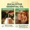 imageKUKKA essential oils 100 Pure ampamp Natural Peppermint Oil for Skin Hair Diffuser ampamp Soap Making DIY4 Fl Oz118 mlEucalyptus