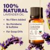 imageLavender Essential Oil for Diffuser Skin ampamp Hair  034 Fl Oz  100 Pure Lavender Oil for Relaxation ampamp Nourishment ampamp Soap Making Scent  Lavender Essential Oil Pure by Kukka