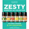 imageDaily Essential Oils 6Pack for Diffusers Aromatherapy Gift Set with Peppermint Tea Tree Eucalyptus Lavender Orange ampamp Lemongrass 6x5mLZesty Essential oil set