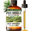 Pine Needle