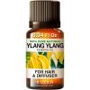 imageKukka YlangYlang Essential Oil for Skin Hair ampamp Diffuser  034 Fl Oz  100 Pure Natural Floral Scent for AromatherapyBath Bomb ampamp Soap Making Scent DIY