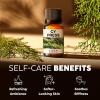imageKukka Cypress Essential Oil for Diffuser  034 Fl Oz  100 Pure Natural for Varicose Veins for AromatherapyCandles ampamp Soap Making Scent DIY