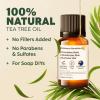 imageKukka Tea Tree Essential Oil  100 Natural Pure Tea Tree Oil for Skin Hair Toenail ampamp Soap Making Scent Melaleuca Oil  Great Scent Premium Quality Tea Tree Oil for Face 034 FL Oz
