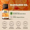 imageKukka Basil Essential Oil for Diffusers  4 Fl Oz  100 Pure Natural Basil Oil for Skin ampamp Aromatherapy Scent Massage Candles ampamp Soaps Making ScentMandarin