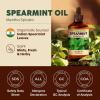 imageKukka Basil Essential Oil for Diffusers  4 Fl Oz  100 Pure Natural Basil Oil for Skin ampamp Aromatherapy Scent Massage Candles ampamp Soaps Making ScentSpearmint