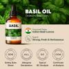 imageKukka Basil Essential Oil for Diffusers  4 Fl Oz  100 Pure Natural Basil Oil for Skin ampamp Aromatherapy Scent Massage Candles ampamp Soaps Making ScentBasil