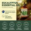 imageKukka Basil Essential Oil for Diffusers  4 Fl Oz  100 Pure Natural Basil Oil for Skin ampamp Aromatherapy Scent Massage Candles ampamp Soaps Making ScentEucalyptus