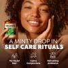 imageKukka Basil Essential Oil for Diffusers  4 Fl Oz  100 Pure Natural Basil Oil for Skin ampamp Aromatherapy Scent Massage Candles ampamp Soaps Making ScentSpearmint