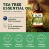 imageKukka Basil Essential Oil for Diffusers  4 Fl Oz  100 Pure Natural Basil Oil for Skin ampamp Aromatherapy Scent Massage Candles ampamp Soaps Making ScentTea Tree