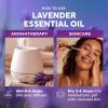 imageKukka Basil Essential Oil for Diffusers  4 Fl Oz  100 Pure Natural Basil Oil for Skin ampamp Aromatherapy Scent Massage Candles ampamp Soaps Making ScentLavender
