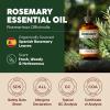 imageKukka Basil Essential Oil for Diffusers  4 Fl Oz  100 Pure Natural Basil Oil for Skin ampamp Aromatherapy Scent Massage Candles ampamp Soaps Making ScentRosemary