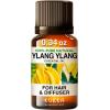 imageKUKKA essential oils  Lavender Oil Essential Oil for Diffuser ampamp Ylang Ylang Oil Essential Oil for Diffuser Set  100 Natural Aromatherapy Grade Essential Oils Set  2x034 fl oz