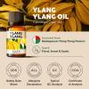 imageKUKKA essential oils  Lavender Oil Essential Oil for Diffuser ampamp Ylang Ylang Oil Essential Oil for Diffuser Set  100 Natural Aromatherapy Grade Essential Oils Set  2x034 fl oz