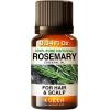 imageYlangYlang Essential Oil for Diffuser ampamp Rosemary Oil for Hair Set  100 Nature Aromatherapy Grade Essential Oils Set  2x034 fl oz  Kukka