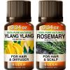 imageYlangYlang Essential Oil for Diffuser ampamp Rosemary Oil for Hair Set  100 Nature Aromatherapy Grade Essential Oils Set  2x034 fl oz  Kukka
