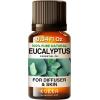 imageEucalyptus Essential Oil for Diffuser ampamp May Chang Essential Oil for Diffuser Set  100 Natural Aromatherapy Grade Essential Oils Set  2x034 fl oz  Kukka